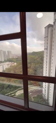 Regent Heights (D23), Condominium #504795021